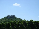 Falkenstein 2007