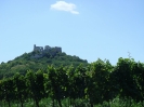 Falkenstein 2007