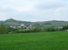 Kellergasse Falkenstein