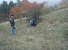 Naturpark Leiserberge