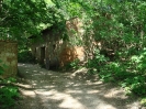 Muttertag 2009