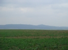 Naturlehrpfad Hagenberg