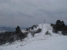 Winter am Buschberg 2010